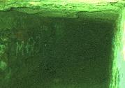 Paris Catacombs